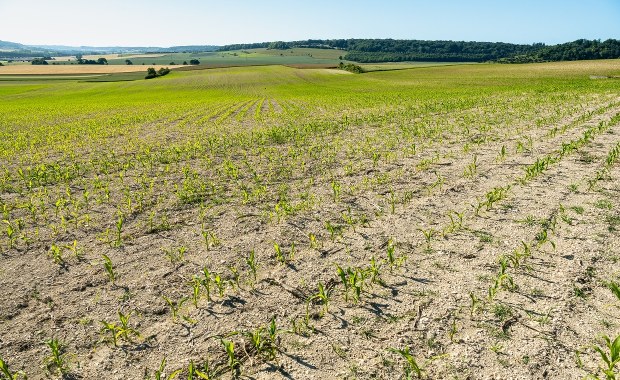 Lipiec najsuchszym miesiącem we Francji od 63 lat. Cały kraj objęty alertem