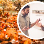 Liście z drzewa sąsiada spadają na Twoją posesję? Prawo wyjaśnia, kto powinien je sprzątnąć