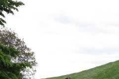 Lisewo Malborskie: Strażacy walczą z wysiękiem wału