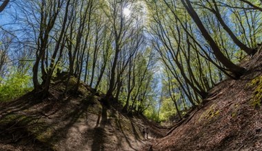 Lisi Jar to wyjątkowa atrakcja nad Bałtykiem. Koniecznie ją odwiedź 