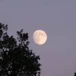 Listopadowa pełnia Księżyca i inne zjawiska. Kiedy warto spojrzeć w niebo?