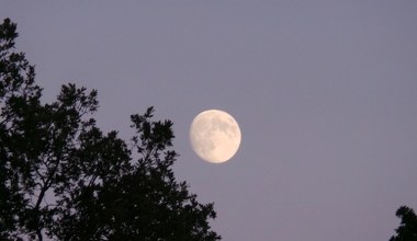 Listopadowa pełnia Księżyca i inne zjawiska. Kiedy warto spojrzeć w niebo?