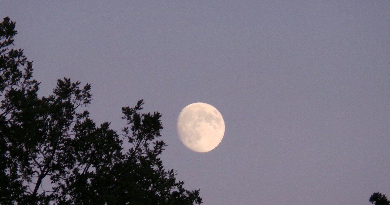 Listopadowy Superksiężyc — kiedy go zobaczymy? /Pixabay /Canva Pro