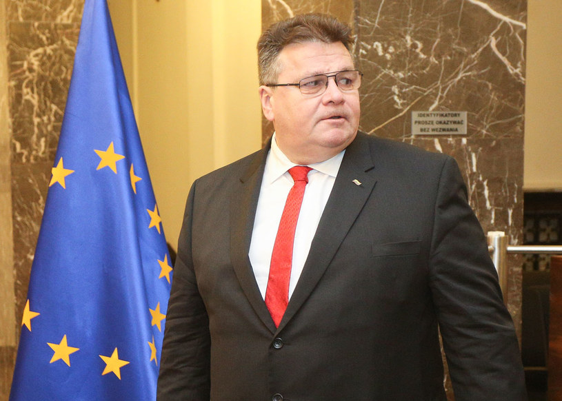 Litewski minister spraw zagranicznych Linas Linkevičius /Michał Dyjuk /Agencja FORUM