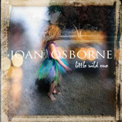 Joan Osborne: -Little Wild One