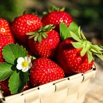 Litwini "wyczyścili" rynek truskawek? Ekspert uspokaja: Owoców w Polsce nie zabraknie