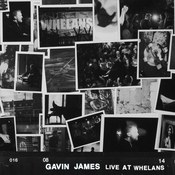 Gavin  James: -Live at Whelans