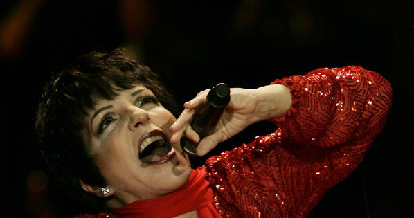 Liza Minnelli na scenie (2008) /AFP