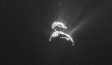 Lód na komecie stary jak Układ Słoneczny