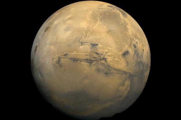 Lód na Marsie występuje, a czy życie ukrywa się w głębi planety? (Fot. NASA) /materiały prasowe