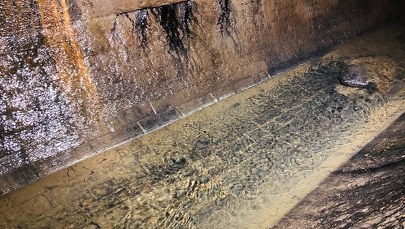 Łódka. Rzeka, nad którą 600 lat temu powstała Łódź [FILM]