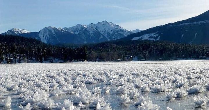 Lodowe kwiaty pojawiają się na obszarach polarnych /MeteoNews24 /Facebook