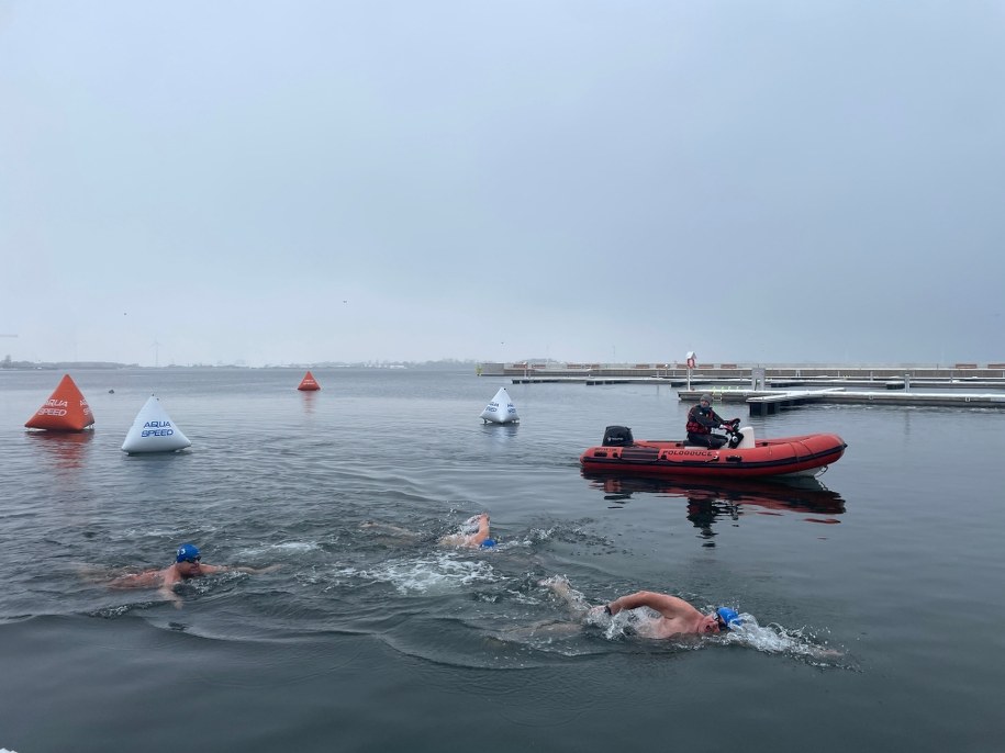 Lodowe Lwy Morskie /Stanisław Pawłowski /RMF24