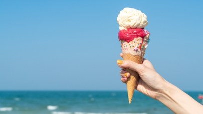 ​Lody pod lupą inspektorów. Kontrole ujawniły nieprawidłowości