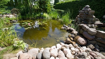 Łódź: 36-latek utopił się w basenie ogrodowym na działkach