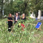 ​Łódź: Biblioteki grają w zielone
