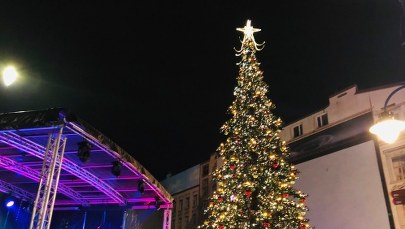 Łódź: Największa w mieście choinka stanęła w Pasażu Schillera