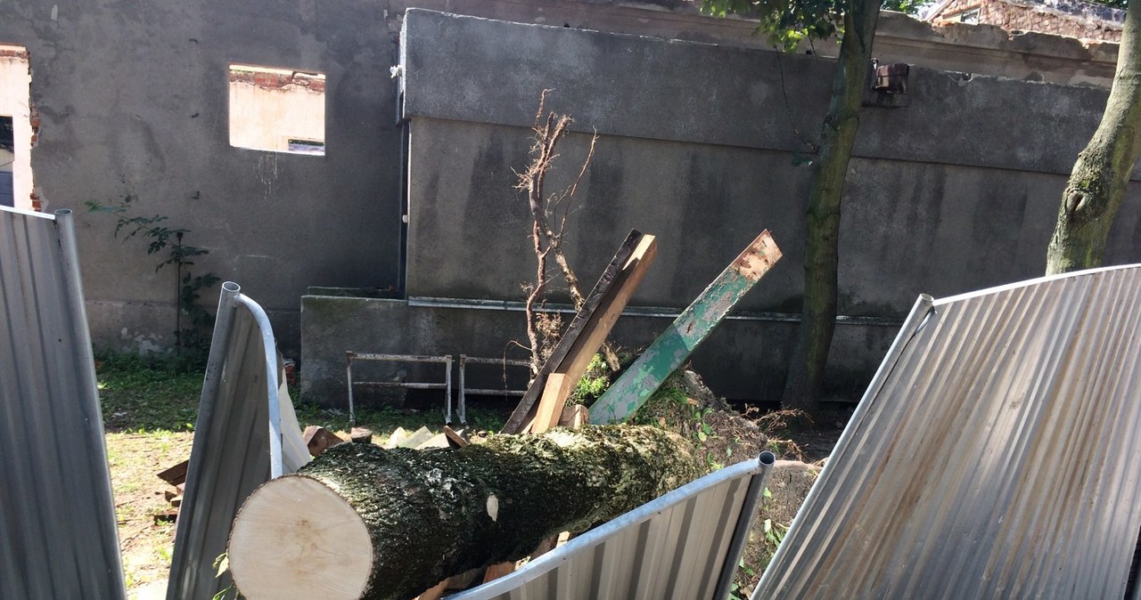 Łódź: Nawałnica wyrządziła szkody w ogrodzie zoologicznym 