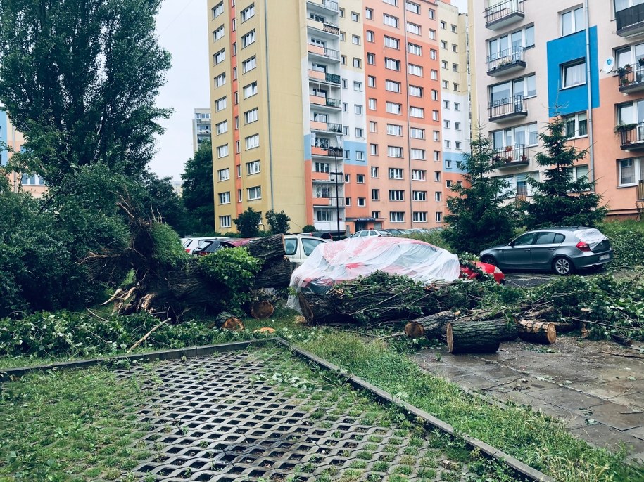 Łódź po burzy /Agnieszka  Wyderka /RMF FM