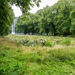 Łódź zyska ponad 22 hektary parków