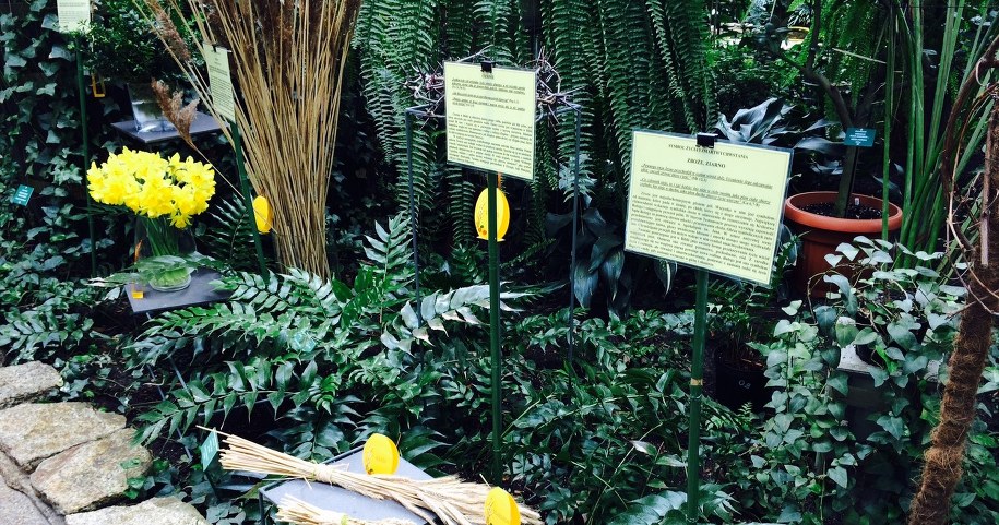 Łódzka Palmiarnia /Agnieszka  Wyderka /RMF FM