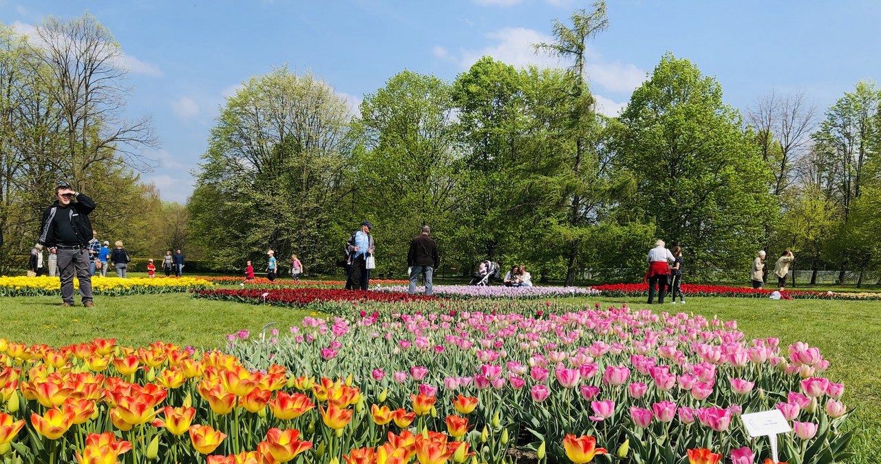 Łódzki Ogród Botaniczny Twoim Niesamowitym Miejscem w Faktach RMF FM