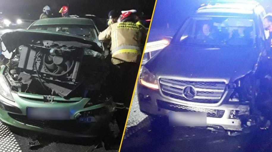 Łódzkie. 70-latka wjechała pod prąd na ekspresówkę /Państwowa Straż Pożarna