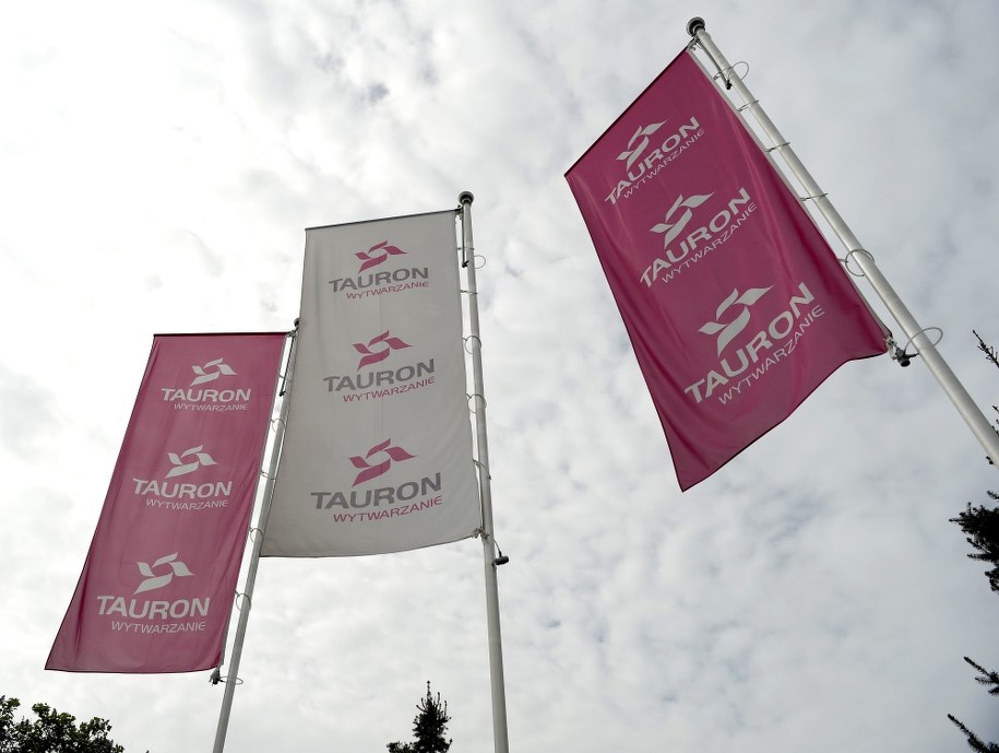 Logo Tauronu na zdjęciu ilustracyjnym /Darek Delmanowicz /PAP