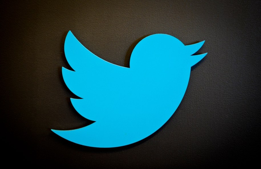 Logo Twittera /DPA/Ole Spata /PAP