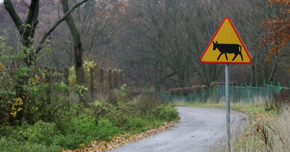 Lokalne drogi również są mocno obciążone ruchem /Mirosław Pieślak /Agencja SE/East News