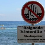 Lokalne władze na Reunion domagają się likwidacji rekinów
