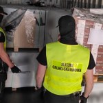 Lola pomogła wykryć ogromny przemyt. Narkotyki zamiast paneli w Gdańsku