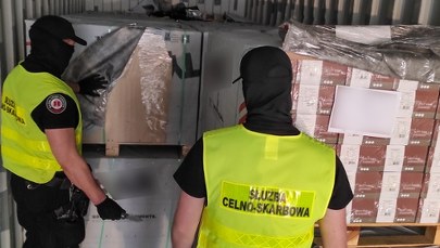Lola pomogła wykryć ogromny przemyt. Narkotyki zamiast paneli w Gdańsku