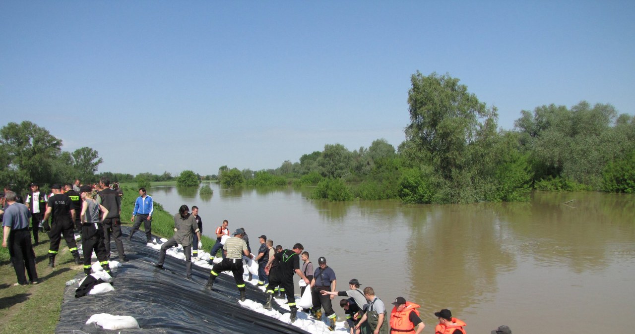 Łomianki: umacnianie wałów