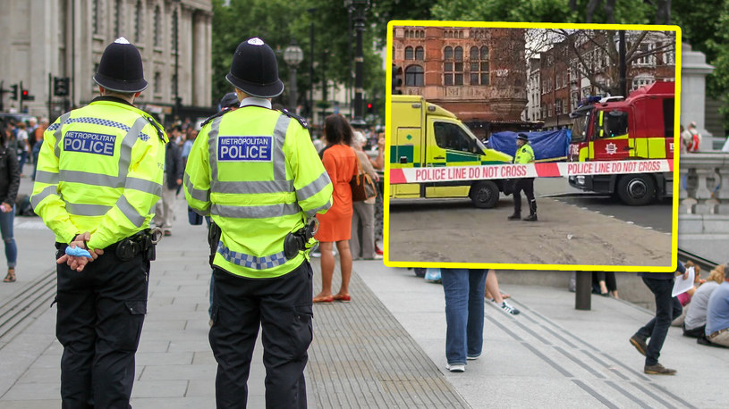 Londyn: Pisuar śmiertelnie przygniótł mężczyznę w centrum miasta /Twitter/Louise Allain /pixabay.com