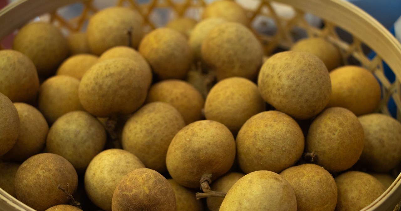 Longan to tropikalny owoc przypominający swoim wyglądem oraz smakiem liczi. /Niran Kaewsairung /123RF/PICSEL