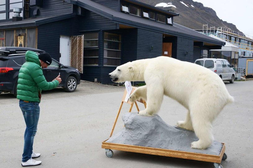 Longyearbyen to najbezpieczniejsze miasto na świecie /AFP