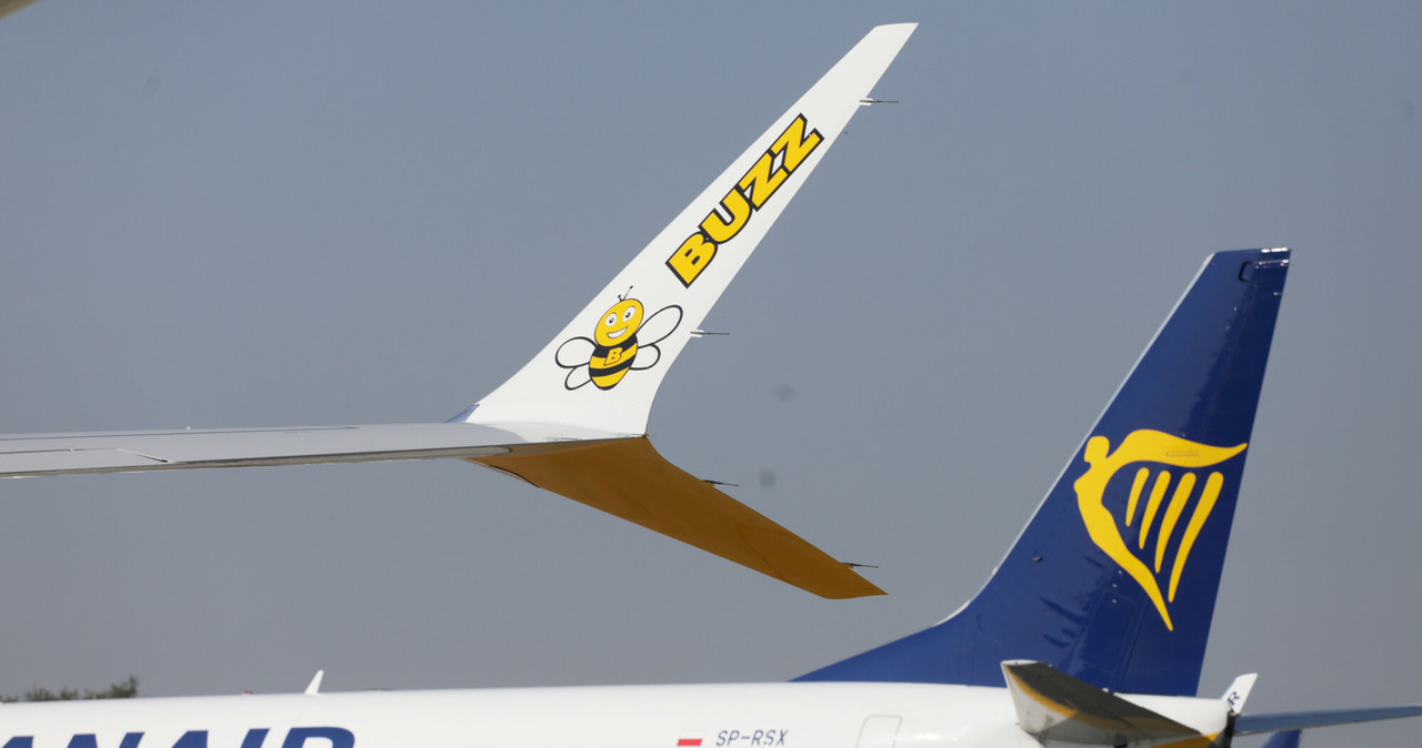 Lot czarterowy a lot rejsowy - czym się różnią? /Jakub Kaminski/East News /East News