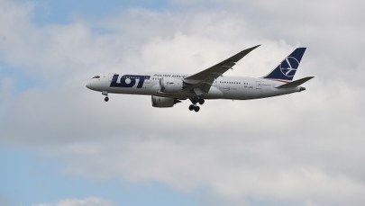 LOT na plusie. Zarobił ponad 150 mln zł w kilka miesięcy 