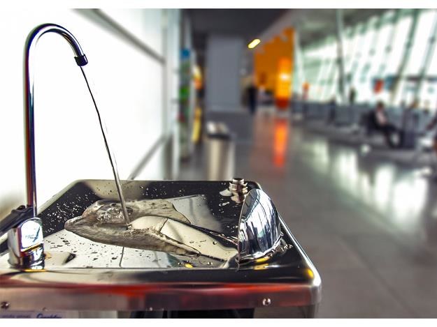Lotnisko Chopina pierwszym lotniskiem w Polsce z bezpłatną wodą do picia. Źródło: Lotnisko Chopina /