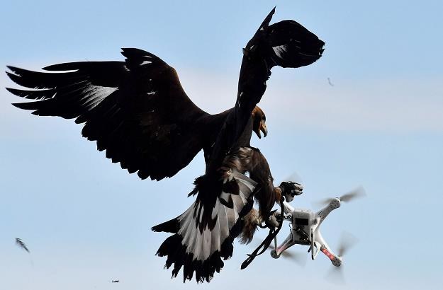 Loty dronów mogą być niebezpieczne /AFP