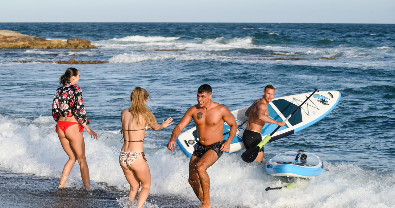 Love Island. Wyspa Miłości 7 /Polsat /.