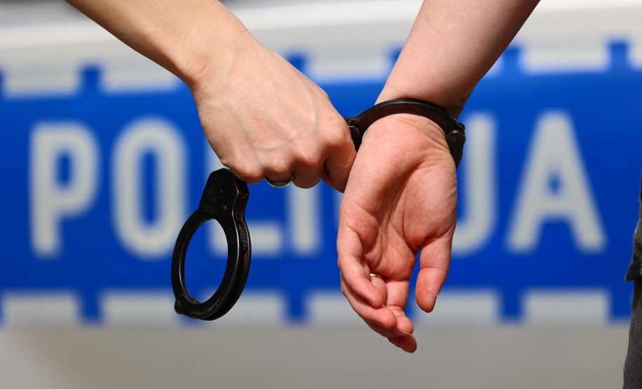 Łowcy pedofilów, we współpracy z policjantami z wielkopolskiego Trzemeszna, zatrzymali w czwartek 45-letniego mężczyznę podejrzewanego o korespondowanie z osobą podającą się za małoletnią dziewczynkę (zdjęcie ilustracyjne) /Shutterstock