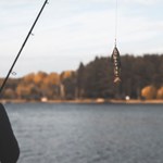 Łowił ryby i zapomniał o ich ludzkim traktowaniu. Dostał mandat