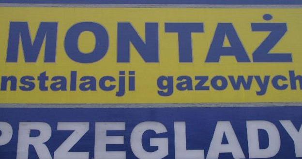 LPG cieszy się w Polsce niesłabnącym powodzeniem /INTERIA.PL