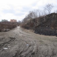 Strażacy gaszą płonące trawy