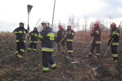 Lubelscy strażacy gaszą ok. 150 pożarów traw dziennie