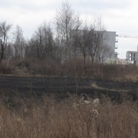 Strażacy gaszą płonące trawy