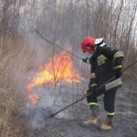 Strażacy gaszą płonące trawy