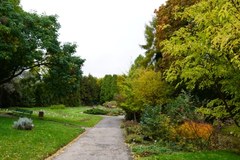 Lubelski ogród botaniczny